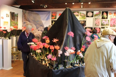 NAAS members and other visitors outside the Five Arrows Gallery eagerly awaiting their preview of this year's exhibition.