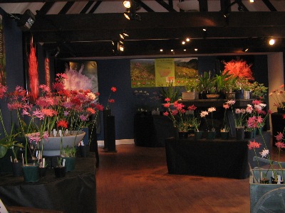 This year's stunning display in the Five Arrows gallery.